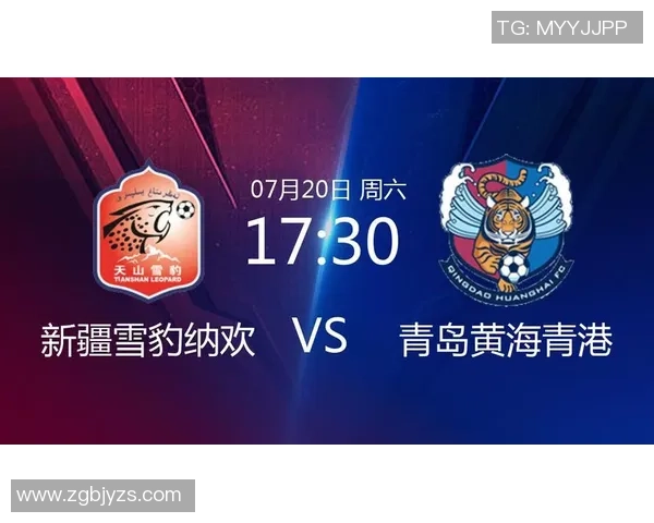 新疆雪豹与黄海的激烈对决赛后分析与精彩瞬间回顾 新疆雪豹与黄海的激烈对决赛后分析与精彩瞬间回顾